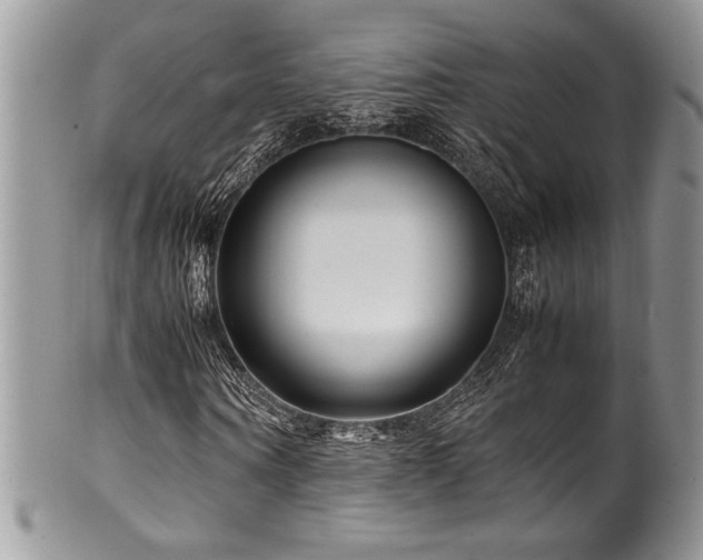 X0000100340866200806051536