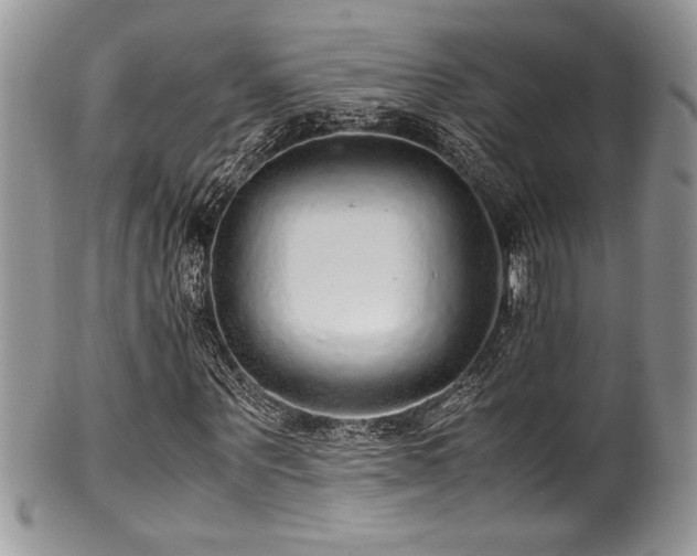 X0000100340867200806051536