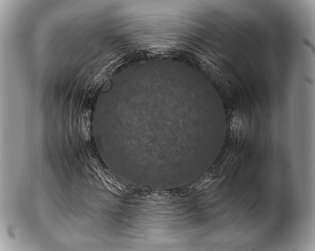 X0000100340868200806051536