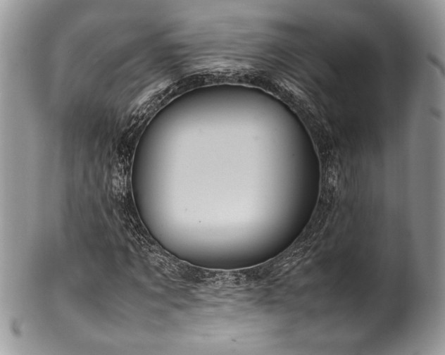 X0000100340869200806051536