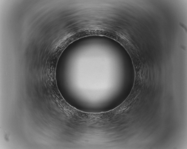 X0000100340870200806051536