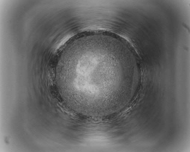 X0000100340871200806051536