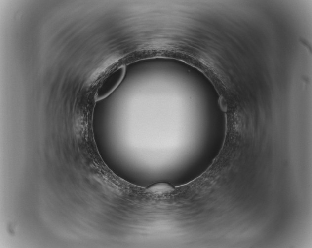 X0000100340872200806051536