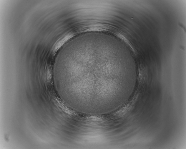 X0000100340874200806051536