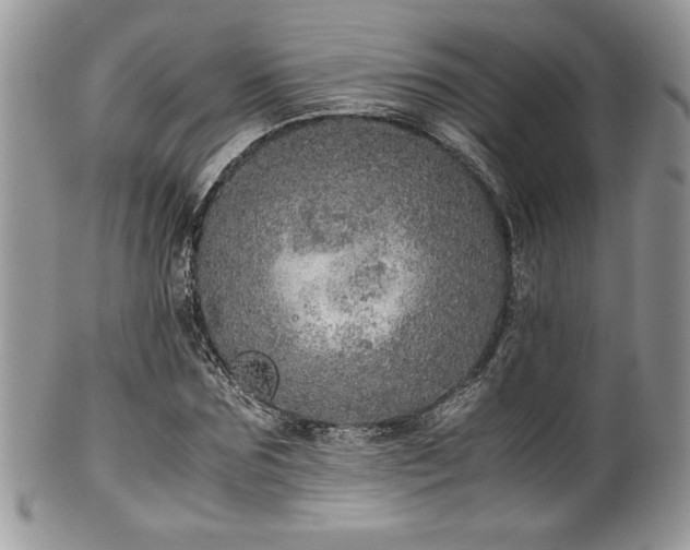 X0000100340875200806051536
