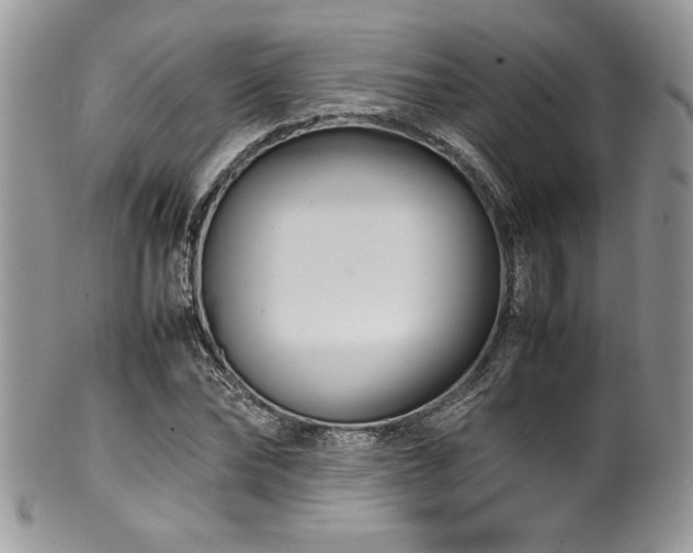 X0000100340878200806051536