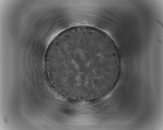 X0000100340879200806051535