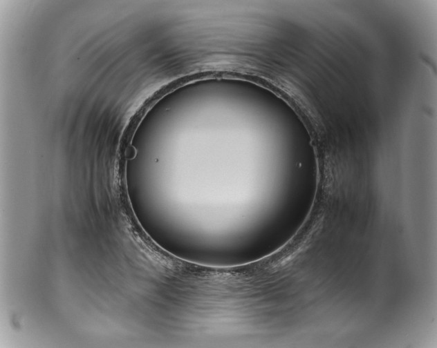 X0000100340880200806051535