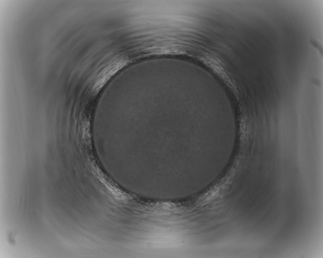 X0000100340881200806051535