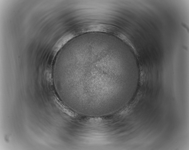 X0000100340882200806051535