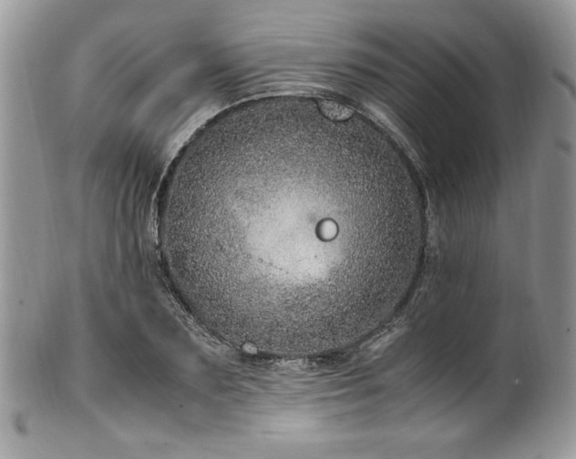 X0000100340883200806051535