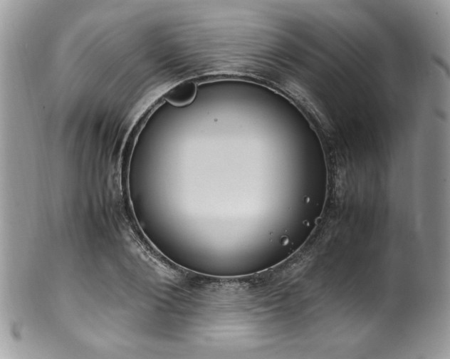 X0000100340884200806051535