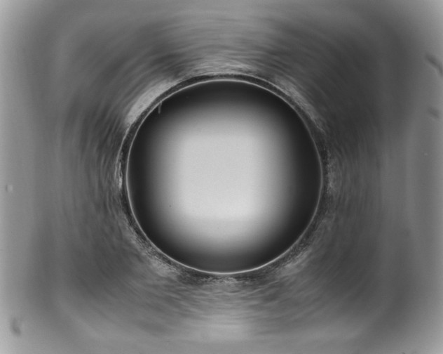 X0000100340885200806051535