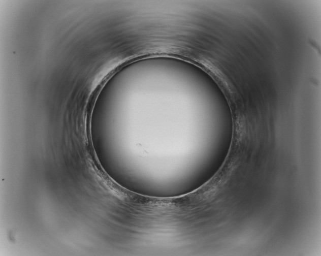 X0000100340886200806051535