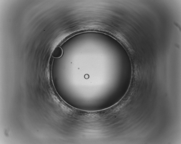 X0000100340888200806051535