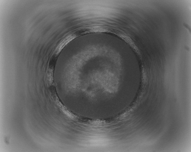 X0000100340889200806051535