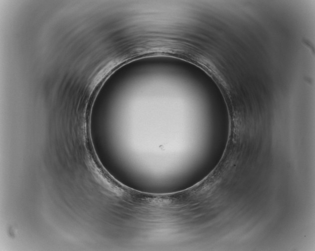 X0000100340890200806051535