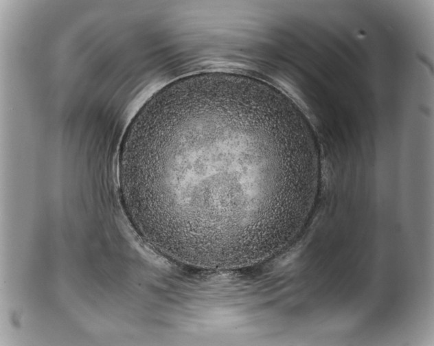 X0000100340891200806051535
