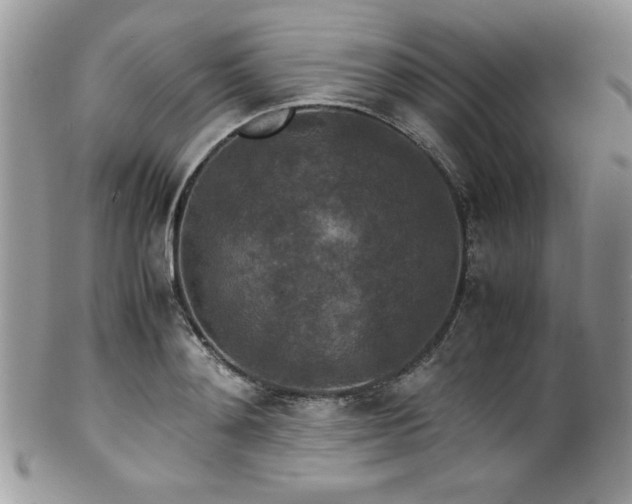X0000100340892200806051535