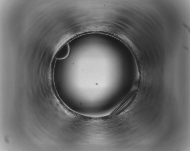 X0000100340894200806051535