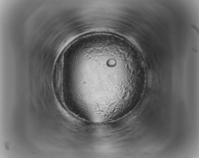 X0000100340895200806051535