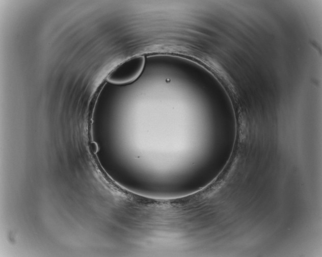 X0000100340896200806051535