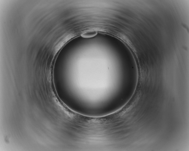 X0000100340898200806051535