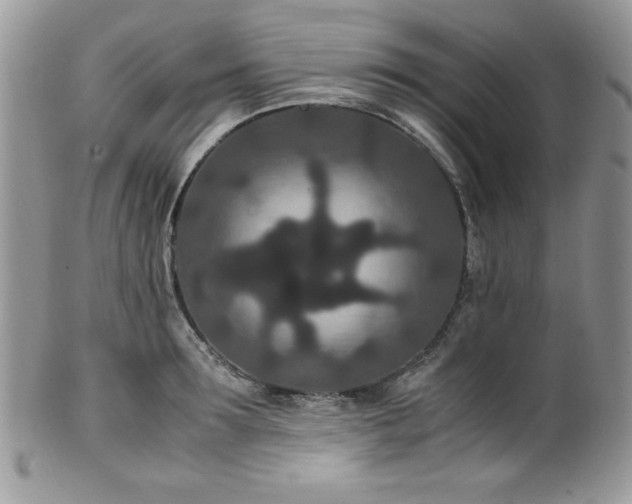 X0000100340899200806051535