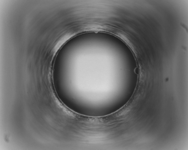 X0000100340901200806051535