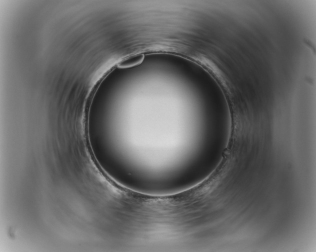 X0000100340902200806051535