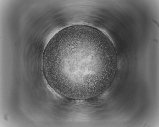 X0000100340903200806051535