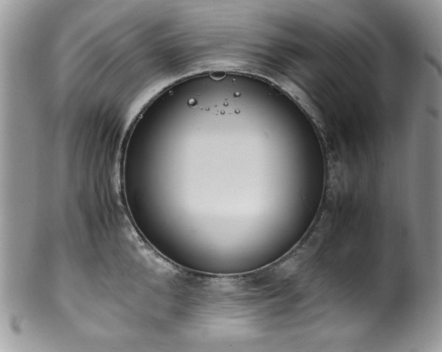 X0000100340904200806051535