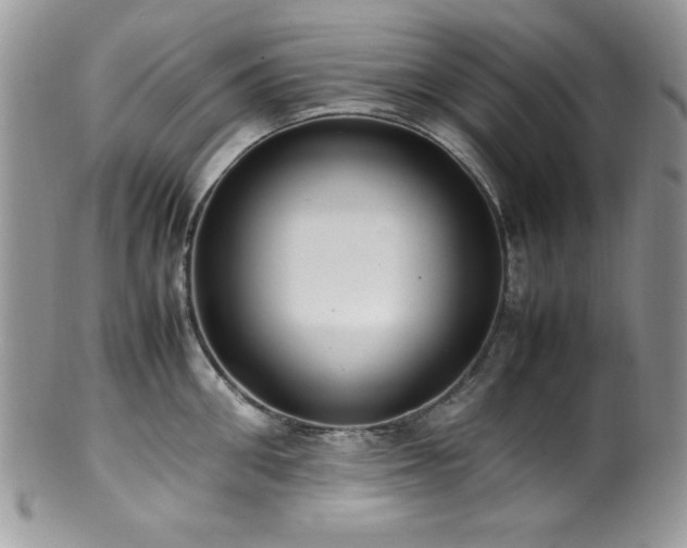 X0000100340906200806051535