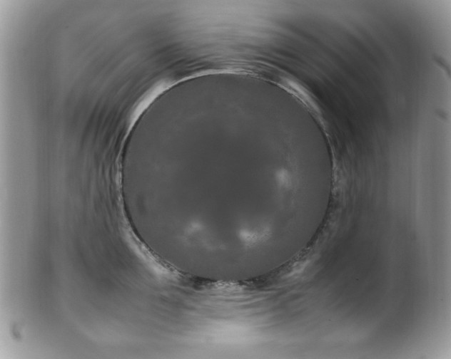 X0000100340907200806051535