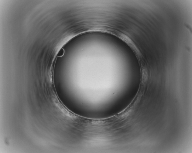 X0000100340908200806051535