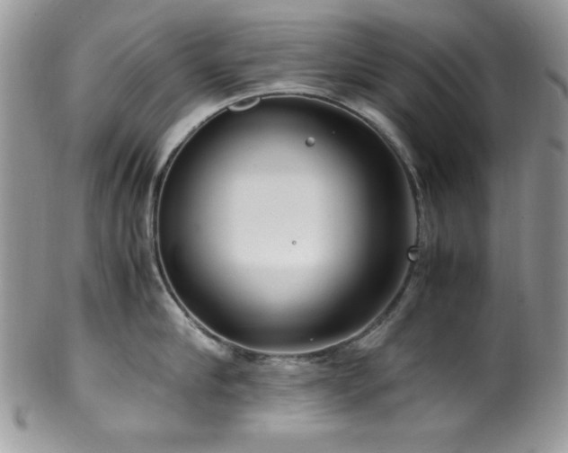 X0000100340910200806051535