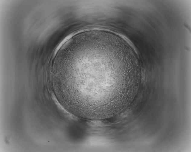 X0000100340911200806051535