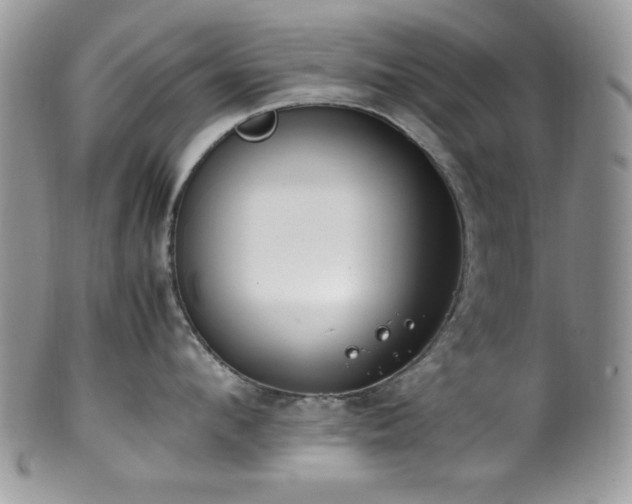 X0000100340912200806051535