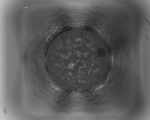 X0000100340913200806051534