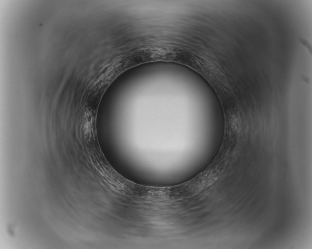 X0000100340914200806051534