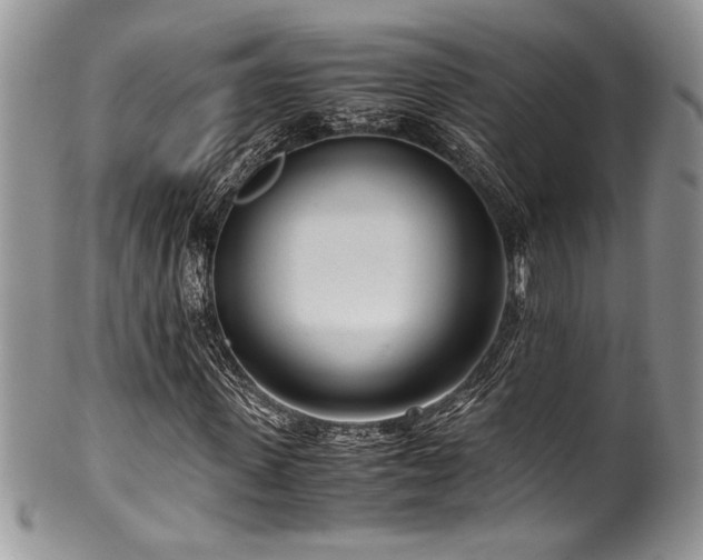 X0000100340915200806051534