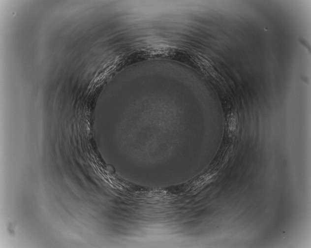 X0000100340916200806051534