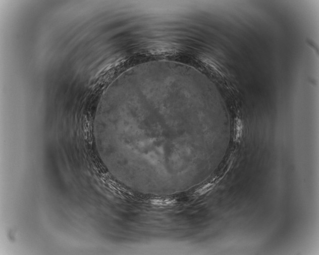 X0000100340917200806051534