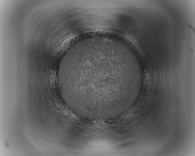 X0000100340918200806051534