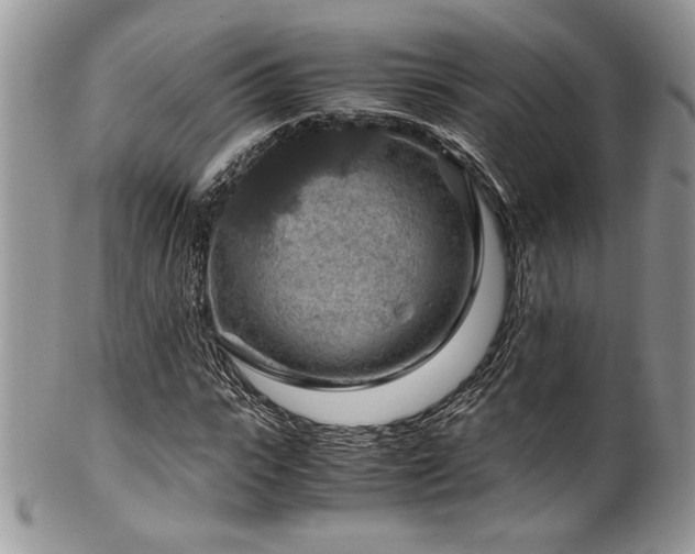 X0000100340919200806051534