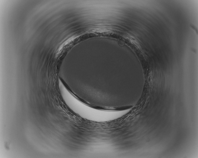 X0000100340920200806051534