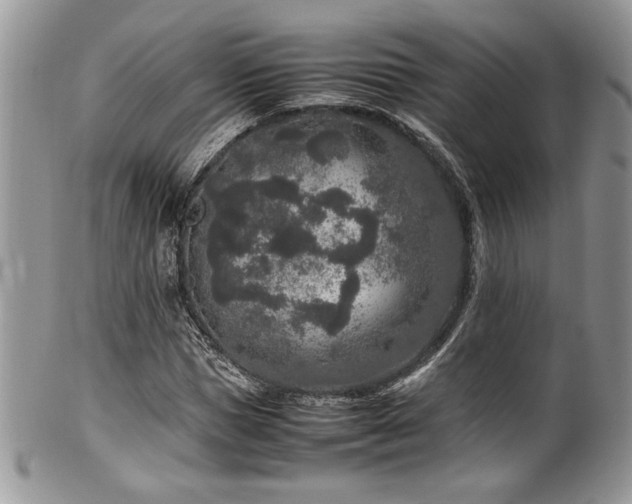 X0000100340921200806051534