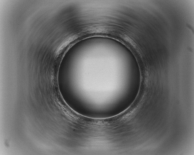 X0000100340922200806051534