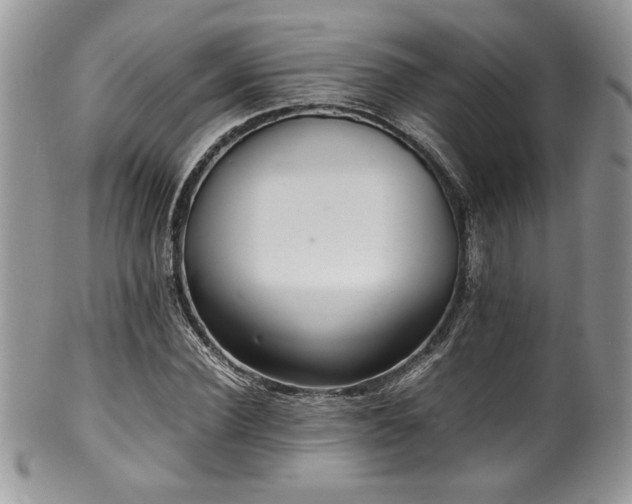 X0000100340924200806051534