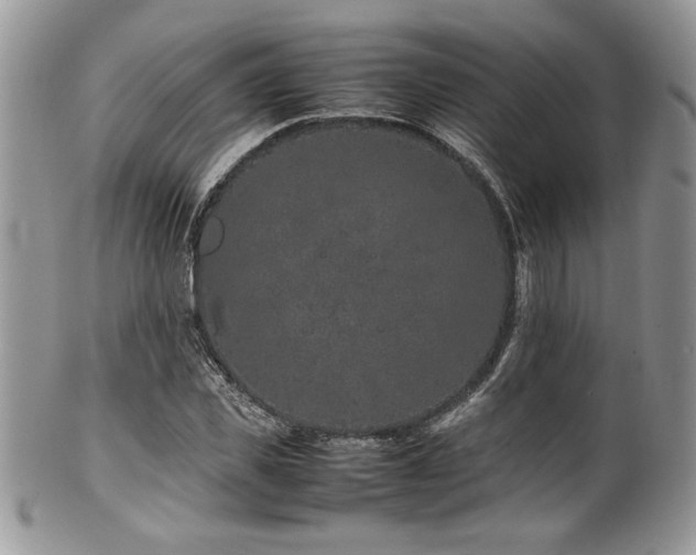 X0000100340925200806051534